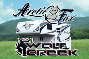 Arctic Fox - Wolf Creek